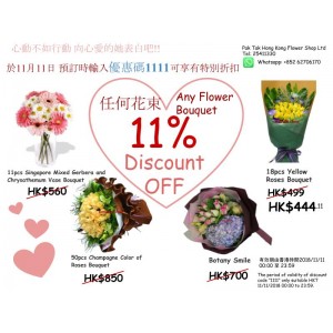11.11 Discount Promotion 